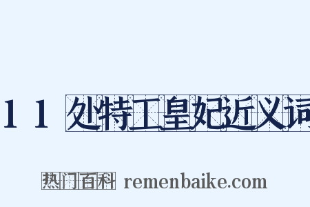 11处特工皇妃近义词是什么意思的图片